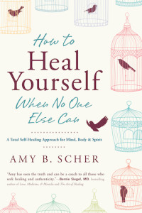 Amy Scher-how to heal book cover copy