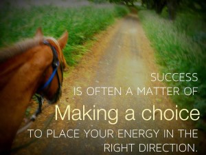 success a choice 2