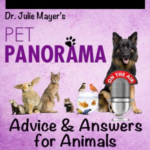 HOW TO READ A PET FOOD LABEL By DR JULIE MAYER