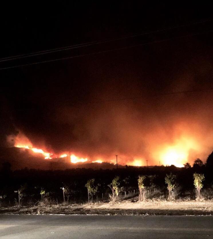 fire in vineyards.jpg