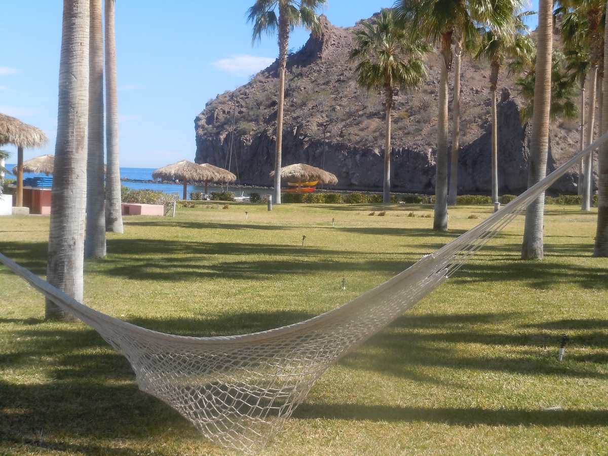 hammock by the sea.jpg