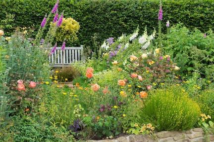 Michael Marriott cottage.rose garden .jpeg