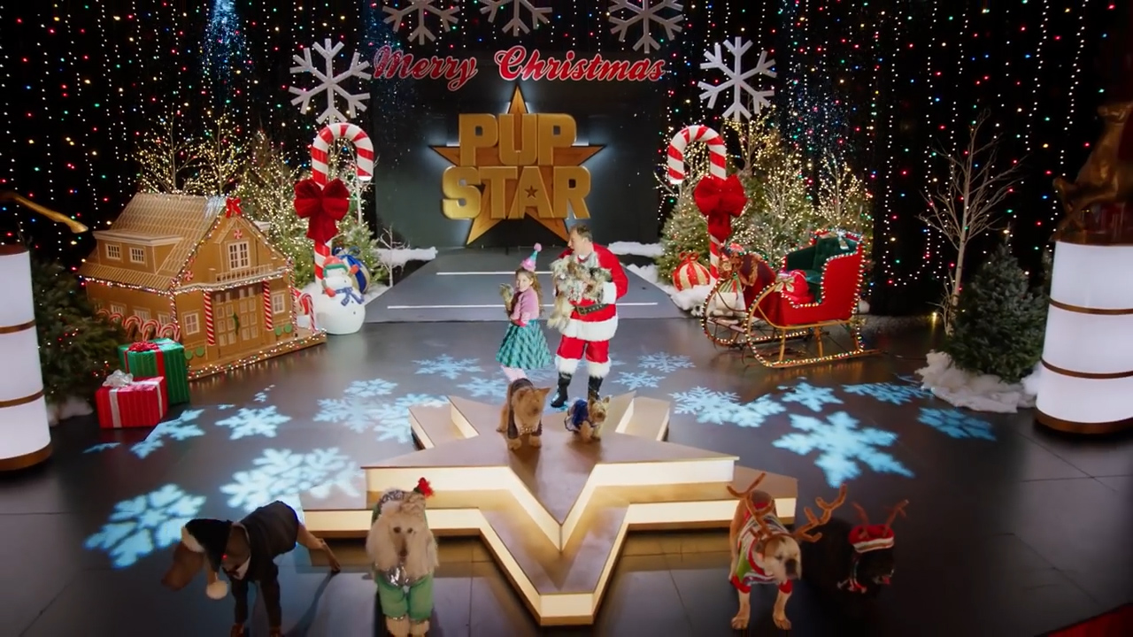 Puppy Star Christmas Official Trailer.mp4.00_00_11_22.Still001.jpg