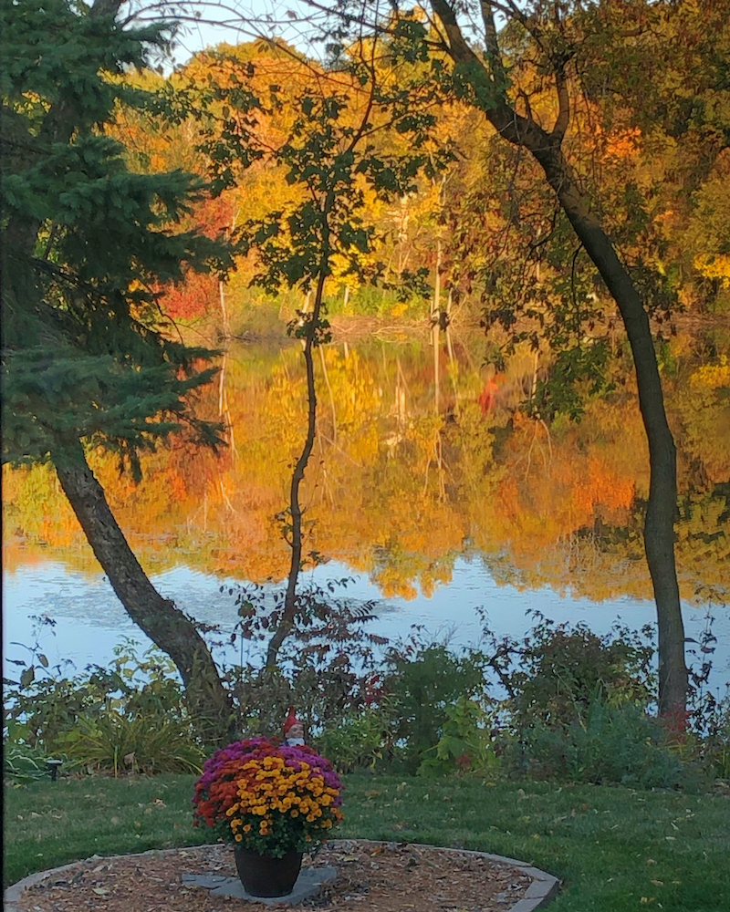 Reflection of autum trees.jpeg