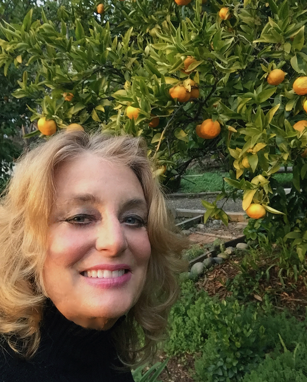 cyn-tangerine tree.jpeg