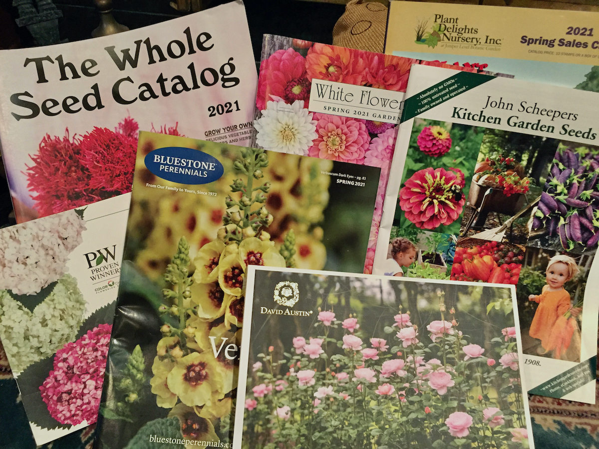 Garden Catalogs 2021.jpeg