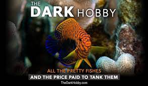 The Dark Hobby * A Compelling Documentary Exposing the Ugly Truth of the Aquarium Hobby