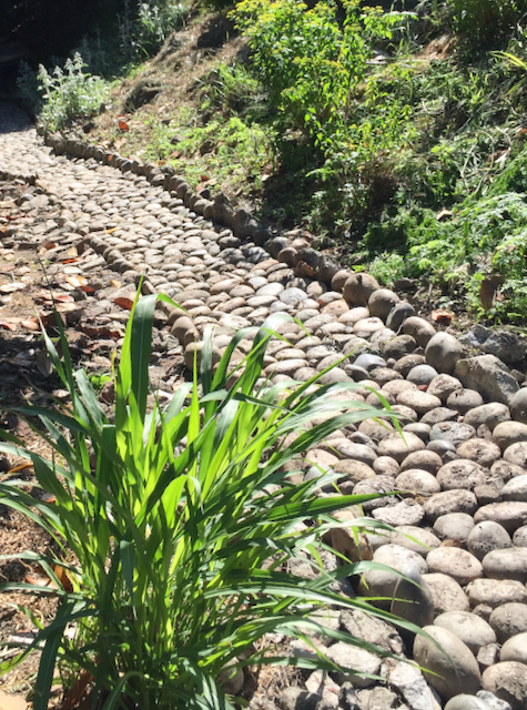 river rock canal (1).jpeg