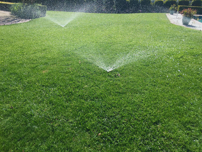 sprinklers on lawn.jpeg