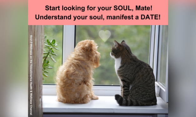 Start looking for your SOUL, Mate…  HERE → SOUL-2-WELLNESS